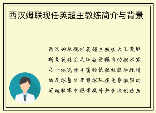 西汉姆联现任英超主教练简介与背景